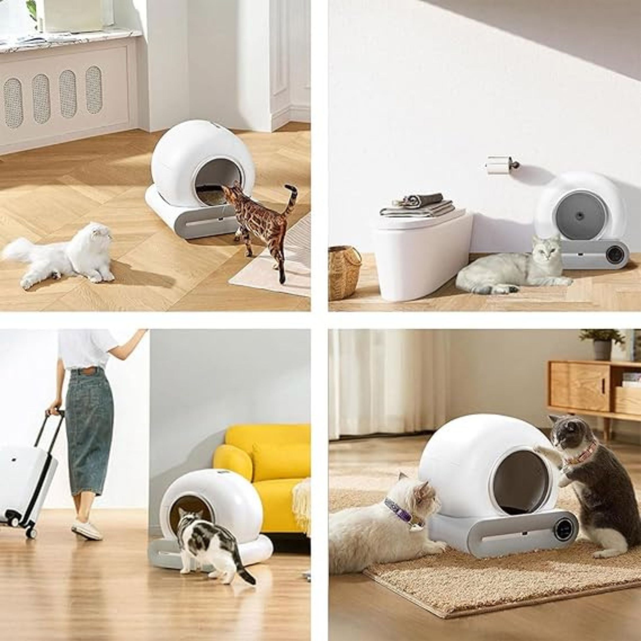 Four images depict the Automatic Cat Cleaning Litter Box by Strike Algo: cats exploring it, a woman wheeling it like luggage, and a chic modern interior showcasing it as decor.