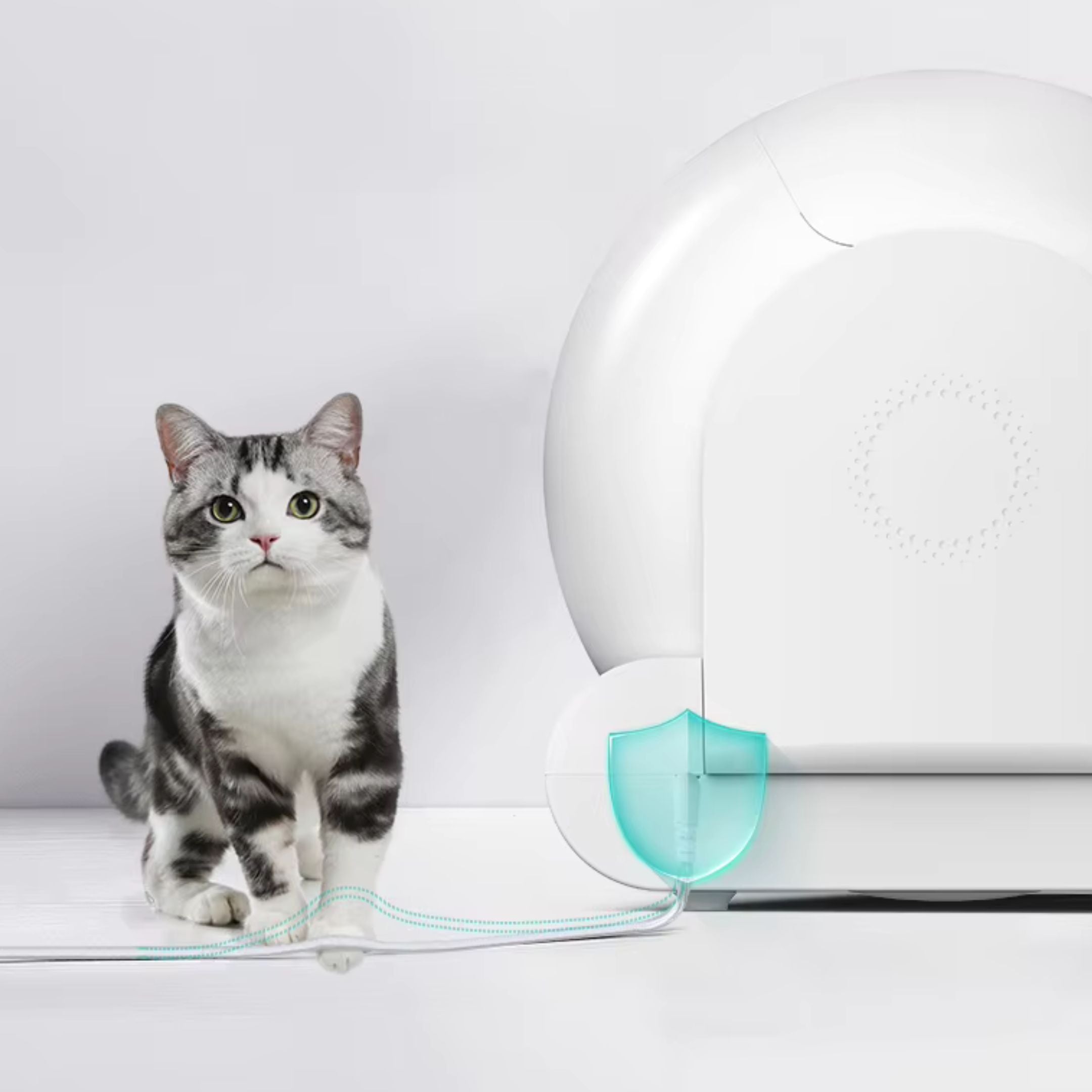 A gray and white cat sits beside a sleek, modern automatic cleaning litter box by Strike Algo. The litter box is white with a light blue accent, has a circular opening, and features a cord extending from its base against a plain white background.