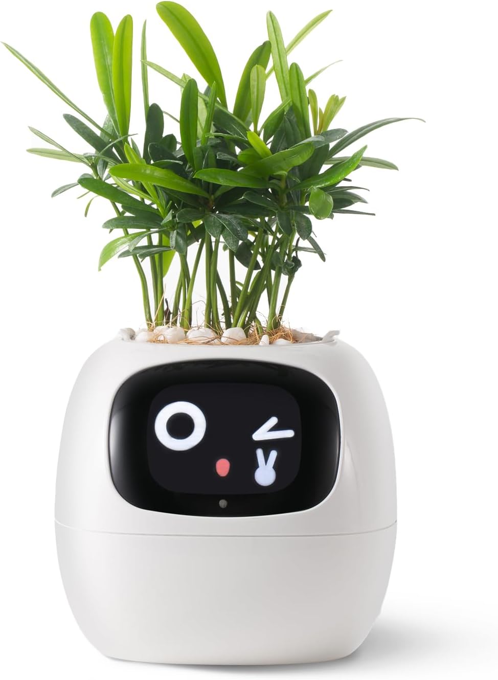 Ivy Smart Plant Pot